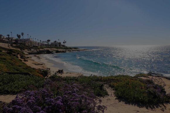 Beach Overlay