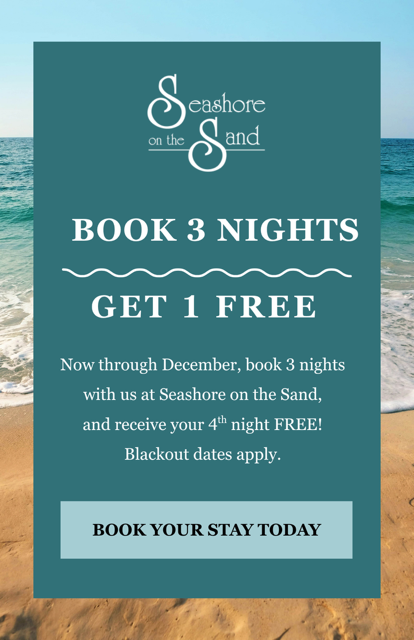 Seashore on the Sand - Book your stay